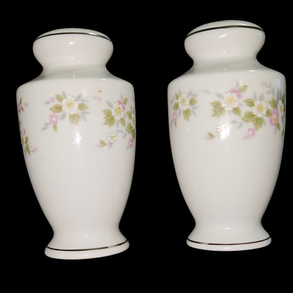 Treasure Chest Lenore Japan Porcelain Salt & Pepper Shakers Floral - Picture 4 of 7